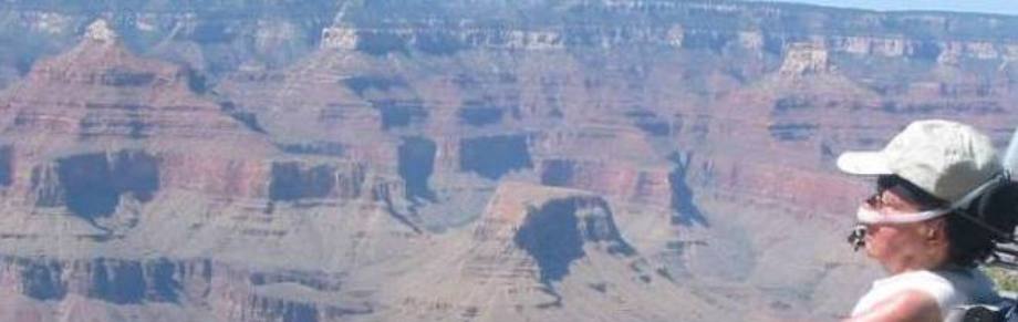 Celebrating the life of Laura Hershey Rotating Header Image